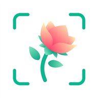Plant Identifier